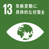 13. Climate Action