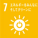 7. Affordable and Clean Energy