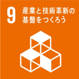 9. Industry, Innovation and Infrastructure