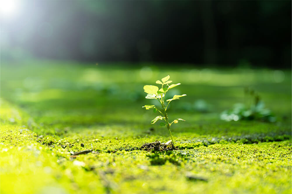 Environmental Initiatives
