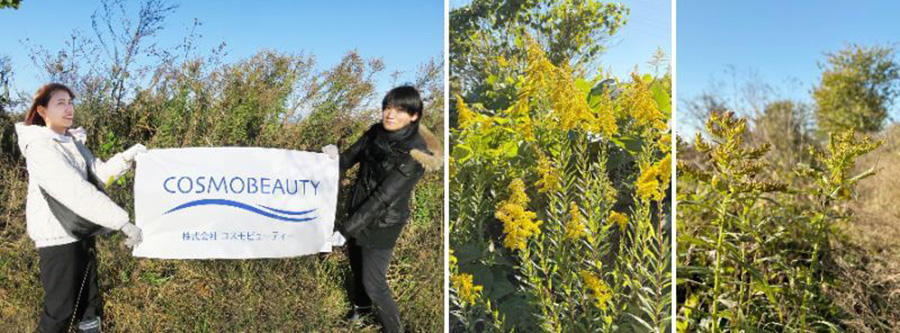 Local Environmental Contribution Initiatives
