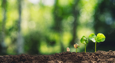 Environmental Initiatives